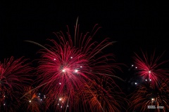 IMG 4986-1