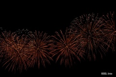 IMG 5336-1