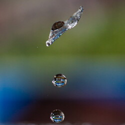 Eau