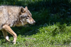 IMG 2025-CR3 DxO DeepPRIME