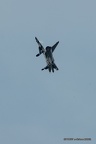 IMG 7937