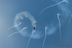 IMG 8836