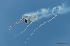 IMG 8847