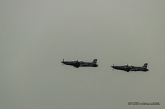 IMG 0109