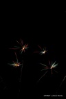 IMG 4401