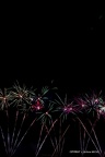 IMG 4551