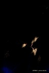 IMG 4595