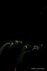 IMG 4639