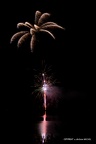 IMG 4778