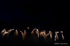 IMG 3903-1