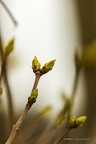 IMG 5839-1