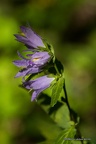 IMG 6728-1