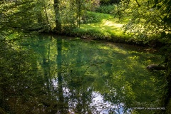 IMG 6733-1
