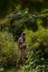 IMG 6803-1