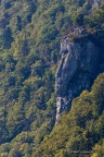 IMG 6922-1
