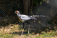 IMG 7757-1
