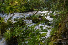 IMG 8735-HDR-1