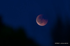 IMG 0476-Avec accentuation-Bruit-1