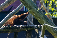 IMG 0783-1